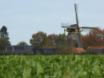 molen De Hoop